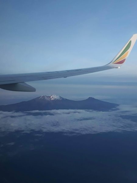 pexels-nard-10804209