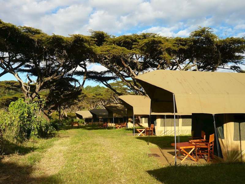 Home: rafiki tembo tours