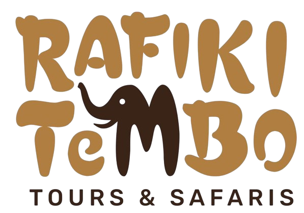 Home: rafiki tembo tours