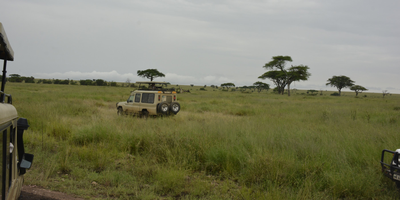 tarangire national park