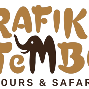 Home: rafiki tembo tours