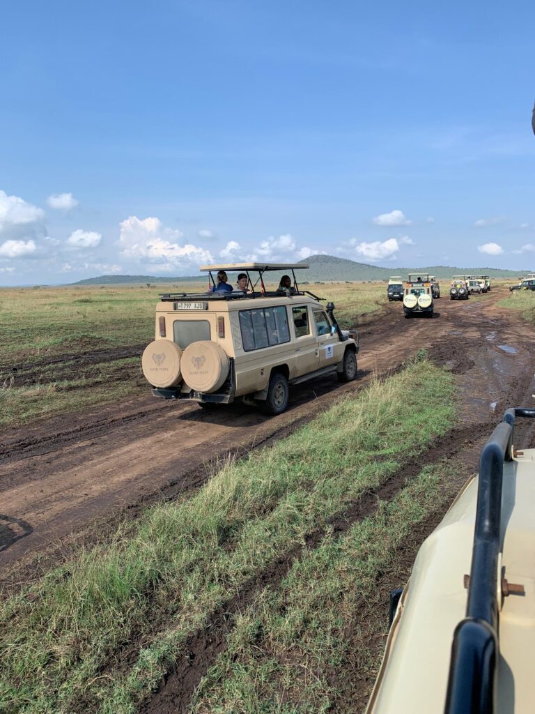 Rafiki Tembo Video inside ngorngoro Crater in 2023