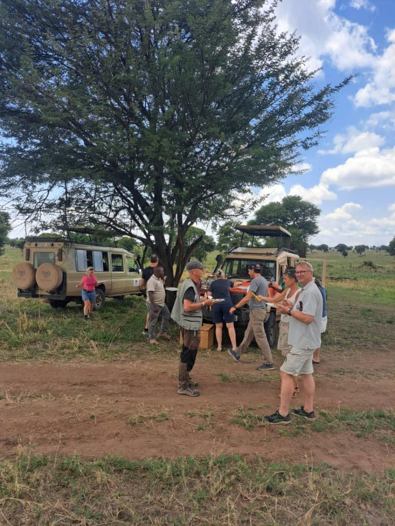 bushlunch RTT