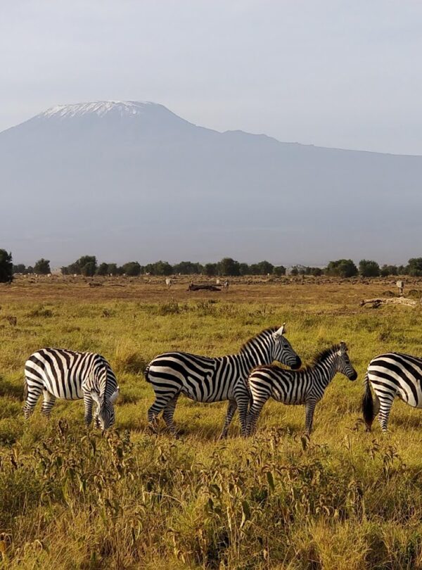 Amboseli National Park