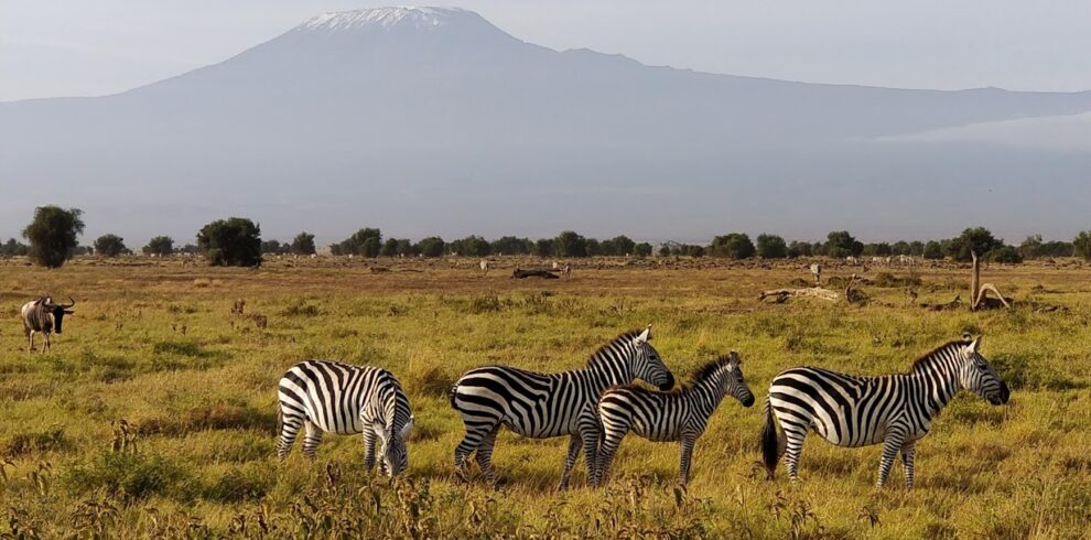 Amboseli National Park