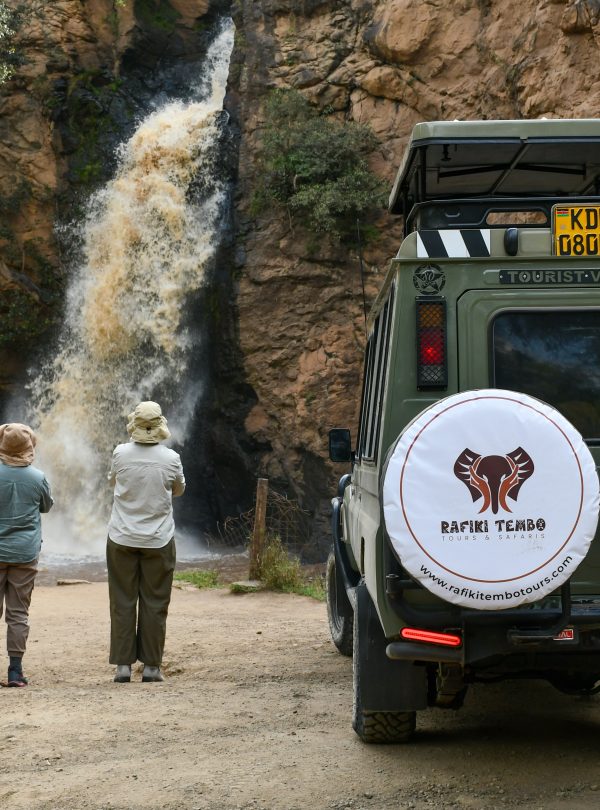 Clients inside lake nakuru national Park Gamedrive with rafiki Tembo