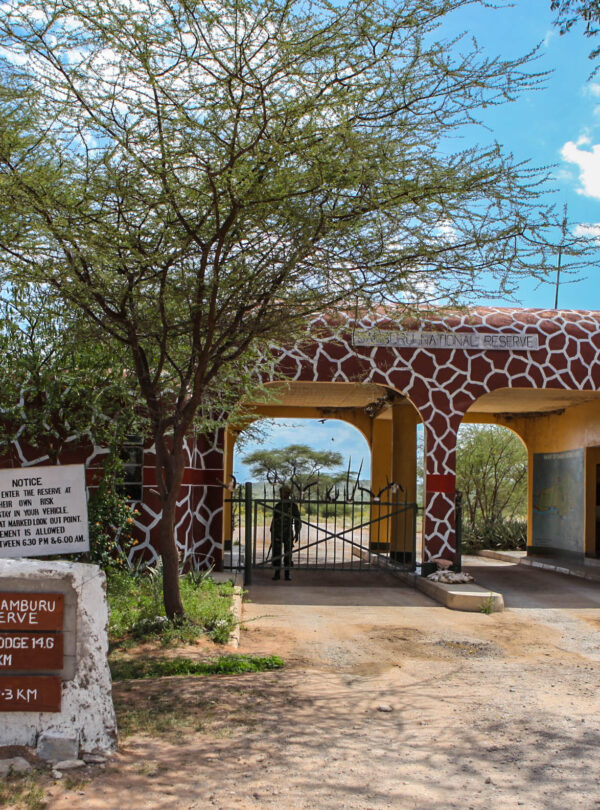 Samburu_National_Reserve,_Kenya-26December2012