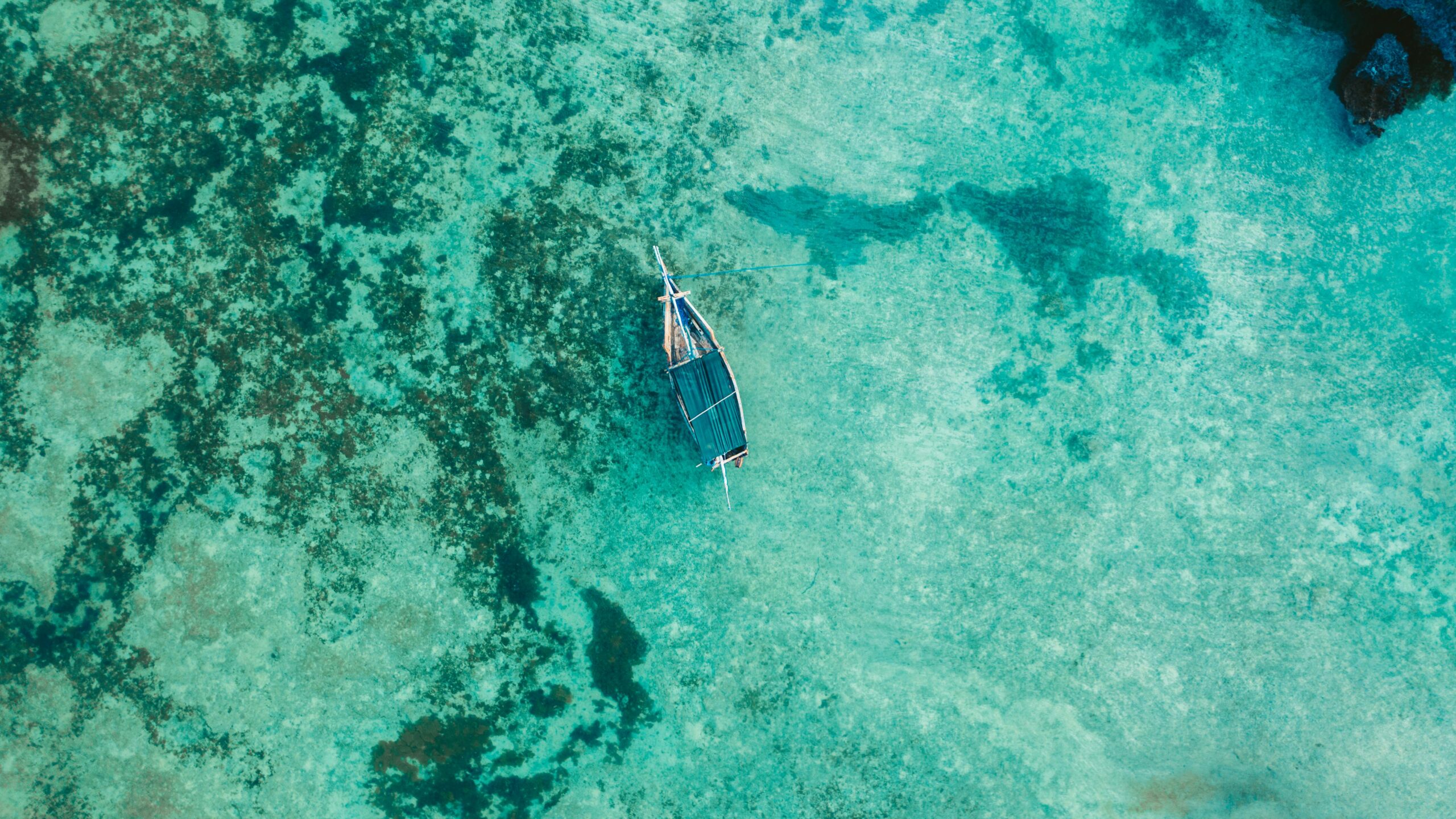 Zanzibar Escape