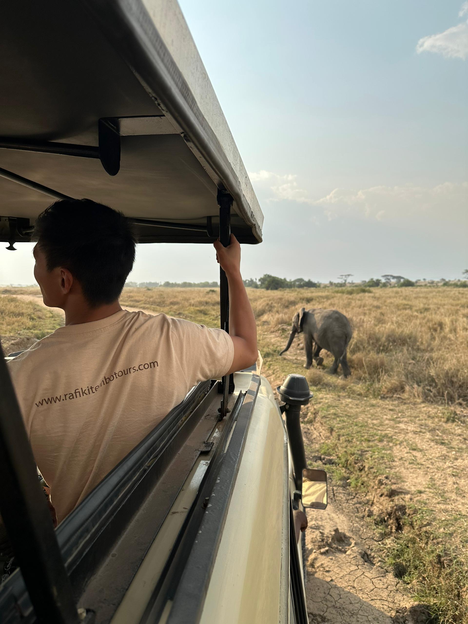 Serengeti Wildlife
