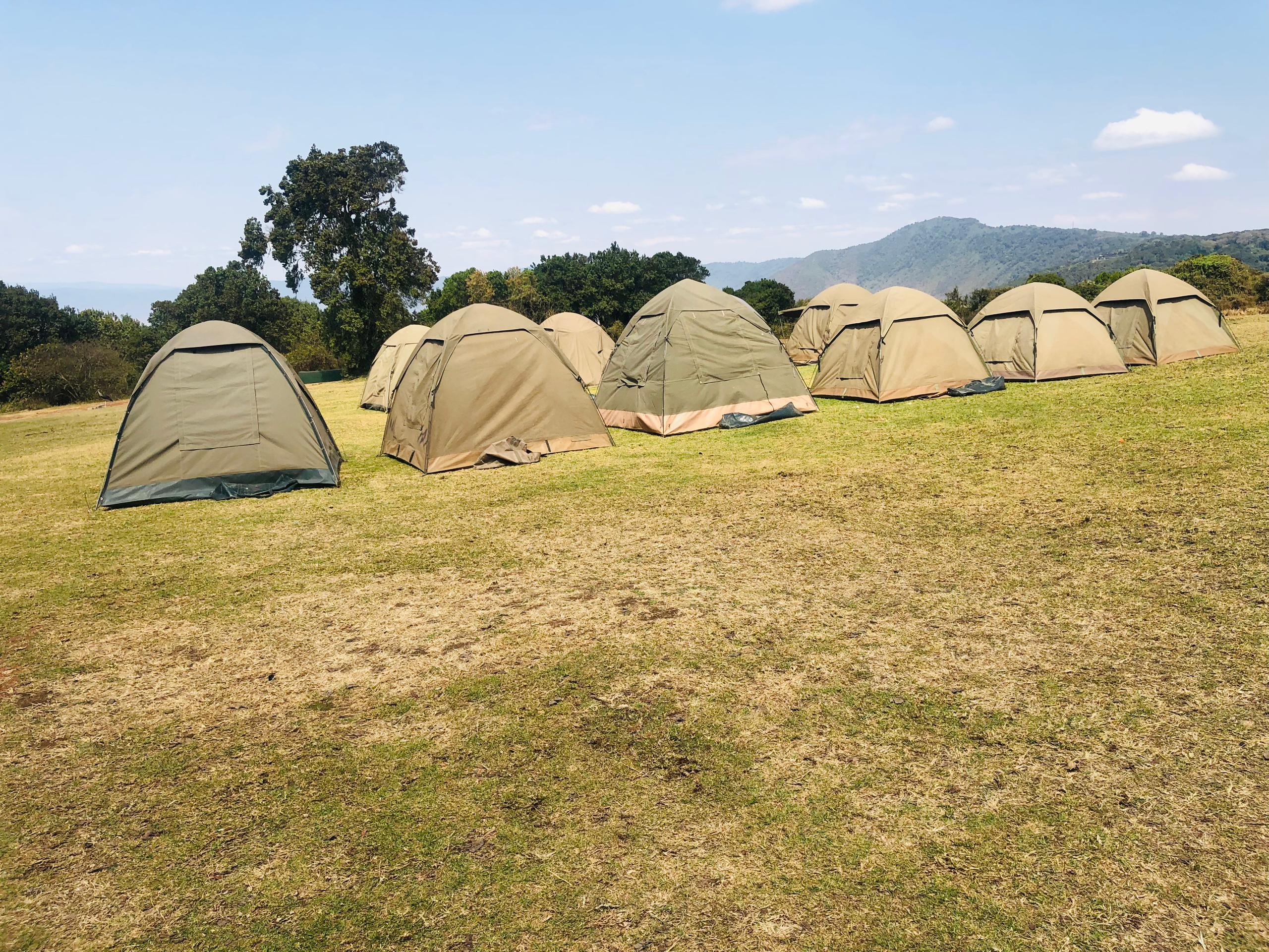 Authentic Safari Camps