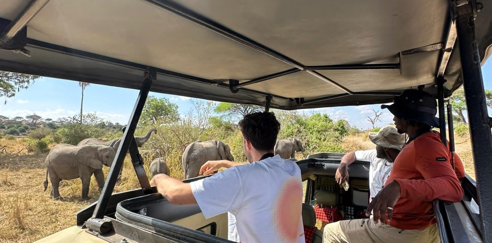 clients in tarangire for a midrange safari