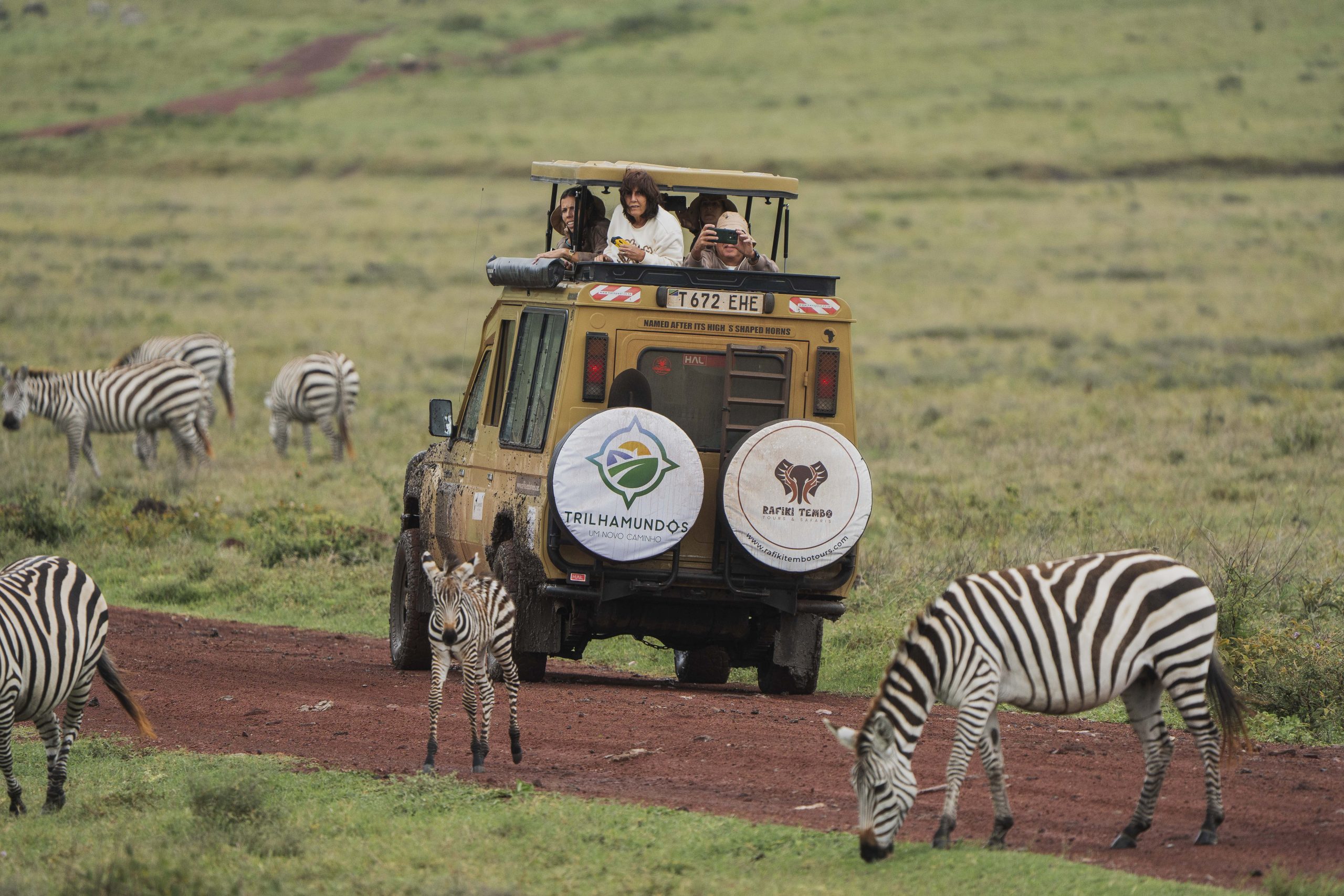 Safari vehicle during Serengeti game drive