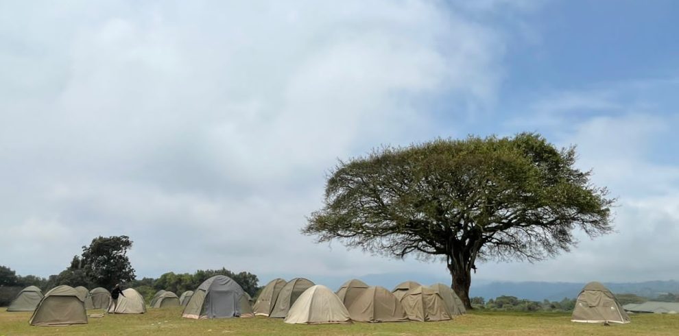 Budget Private Camping