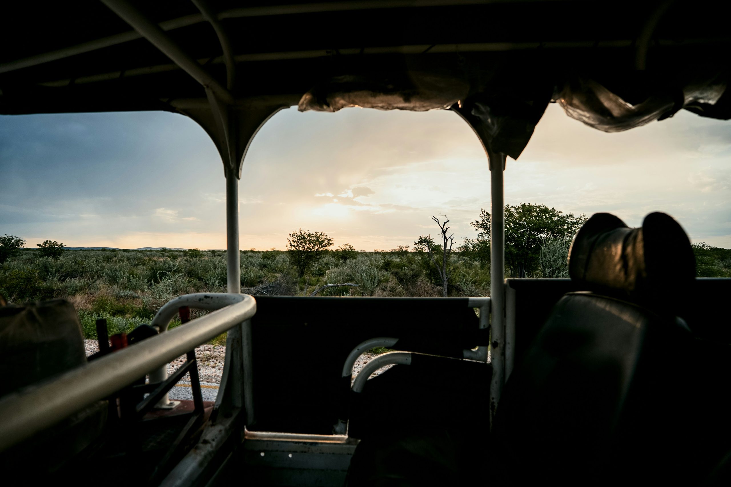 Rafiki Tembo safari creator collaboration experience