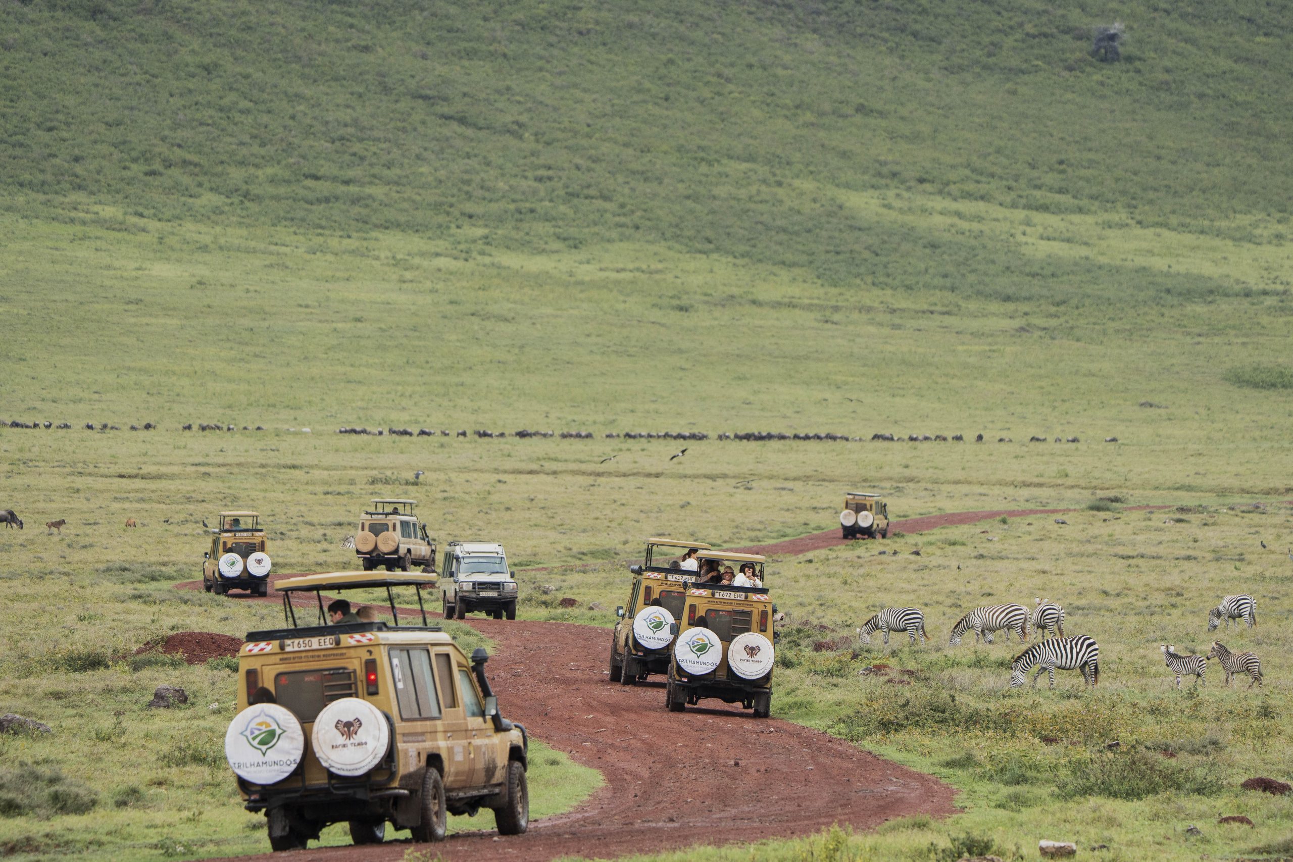Ngorongoro Crater Tanzania safari landscape