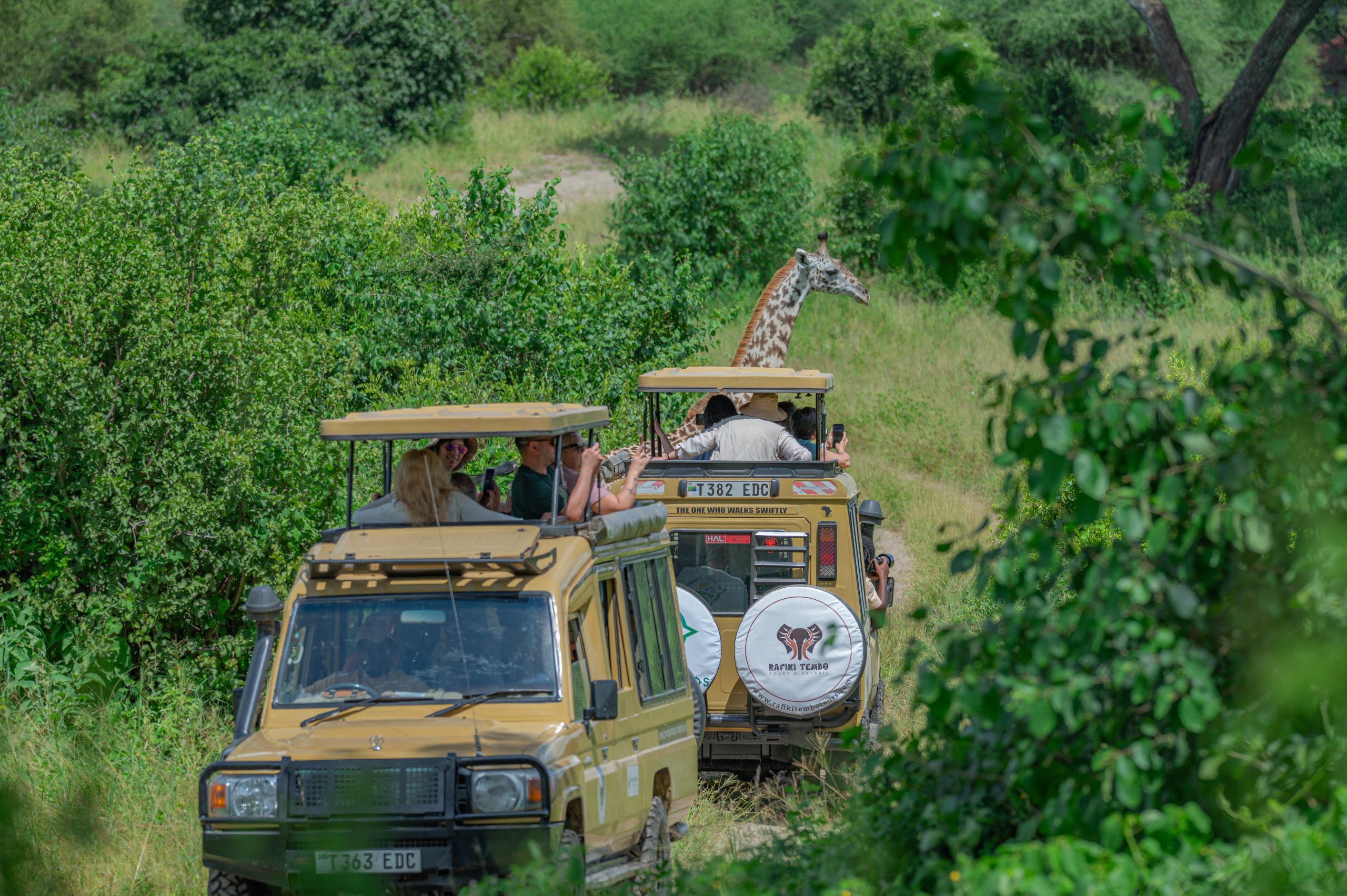 Rafiki Tembo safari vehicle during a private game drive in Tanzania