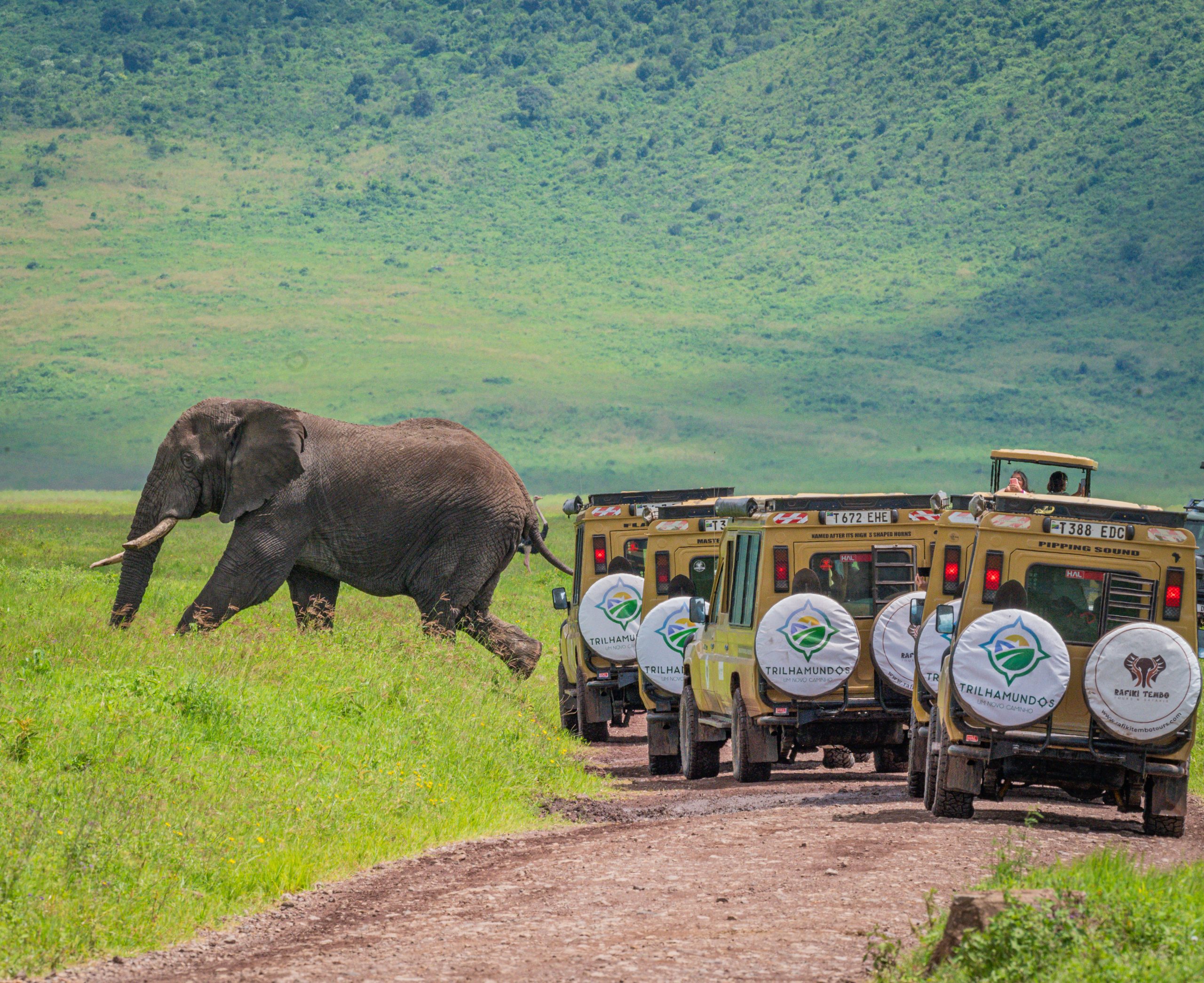 The Grand East Africa Safari