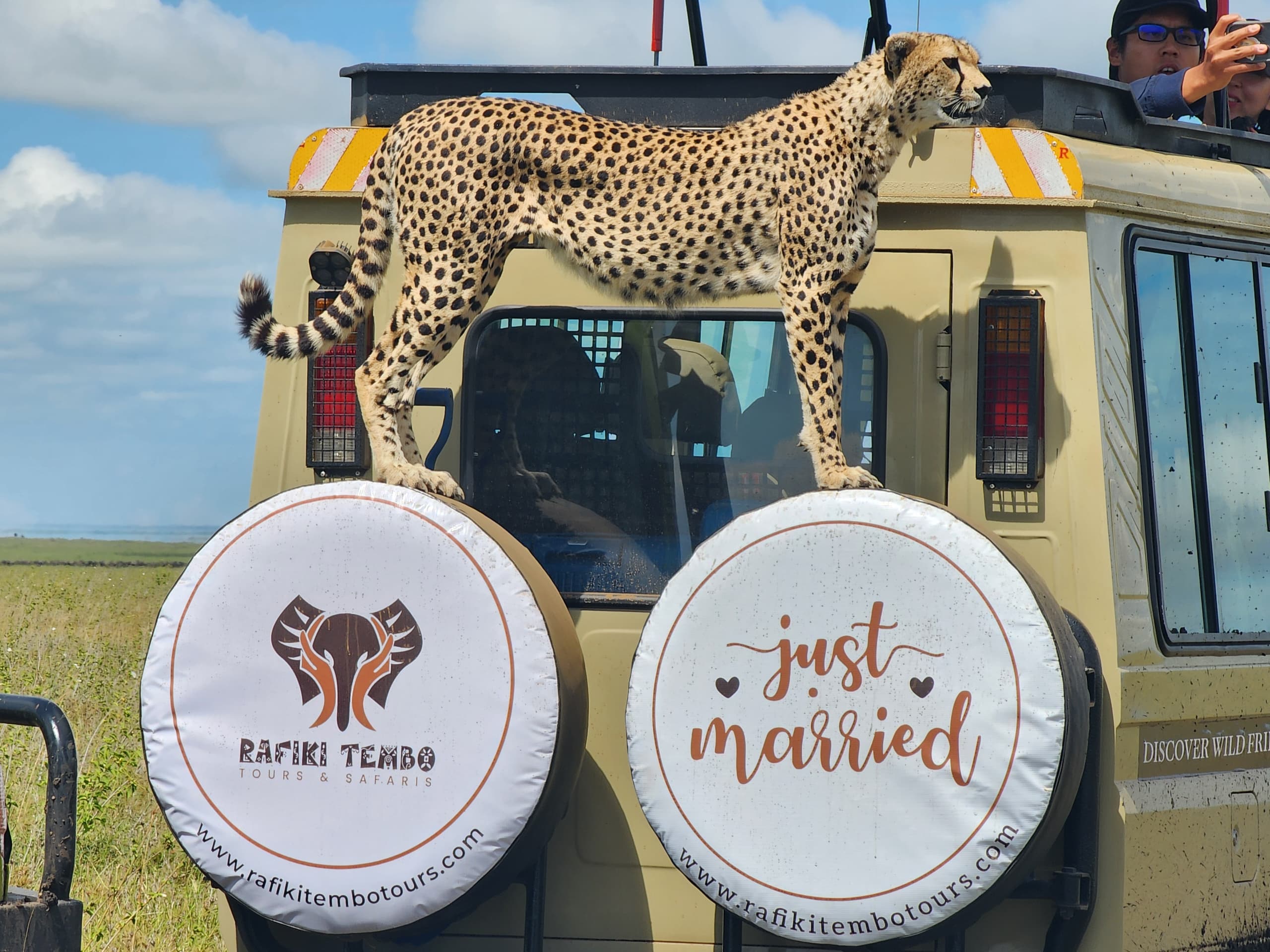 Honeymoon Safaris