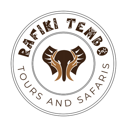 Rafiki Tembo Tours and Safaris
