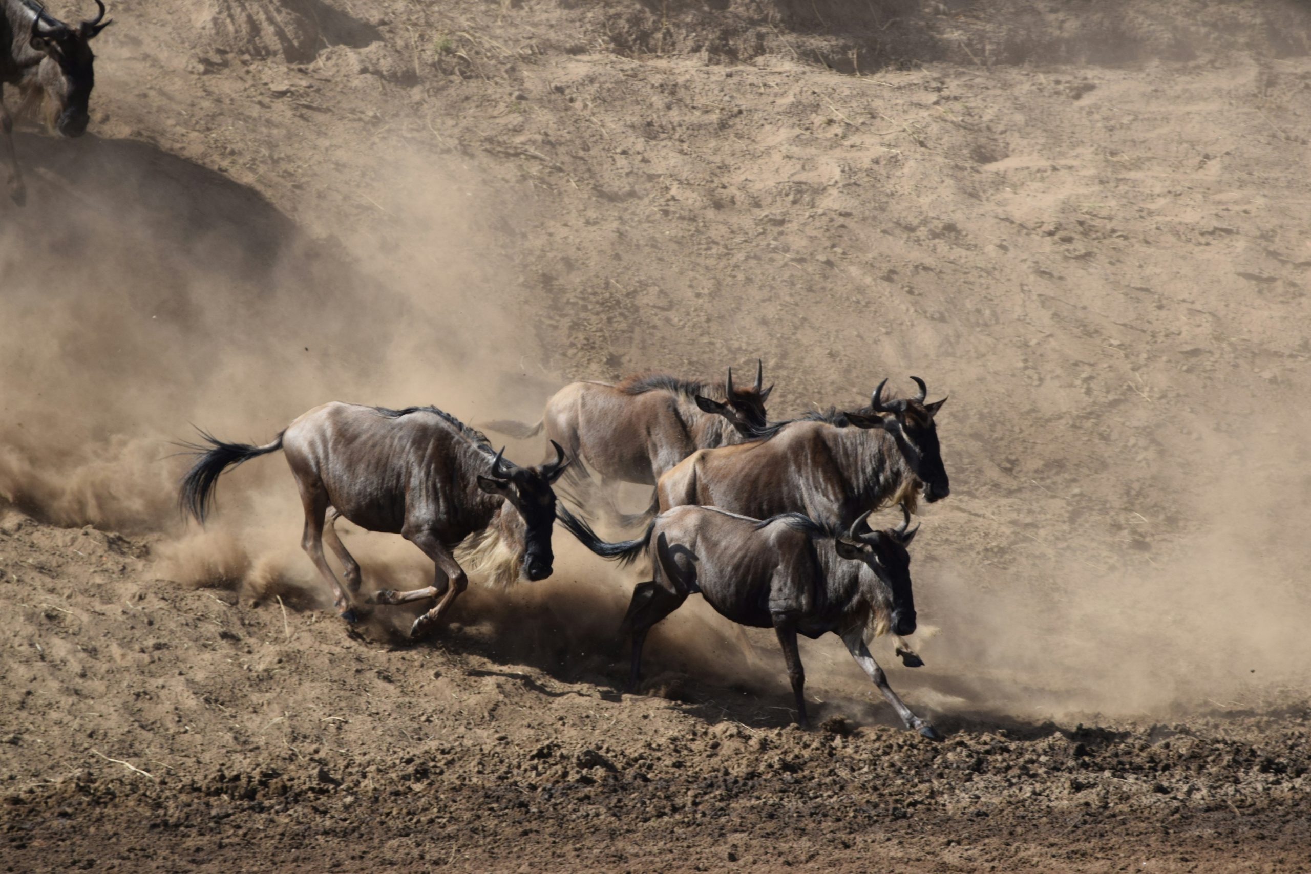 Great Migration