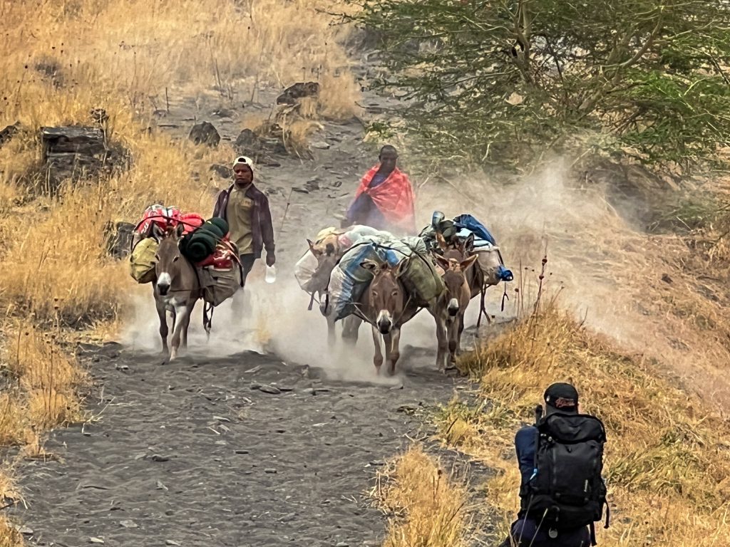 Why Choose a Local Tanzania Safari Operator?
