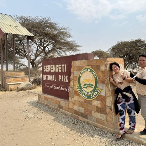 The Ultimate Serengeti