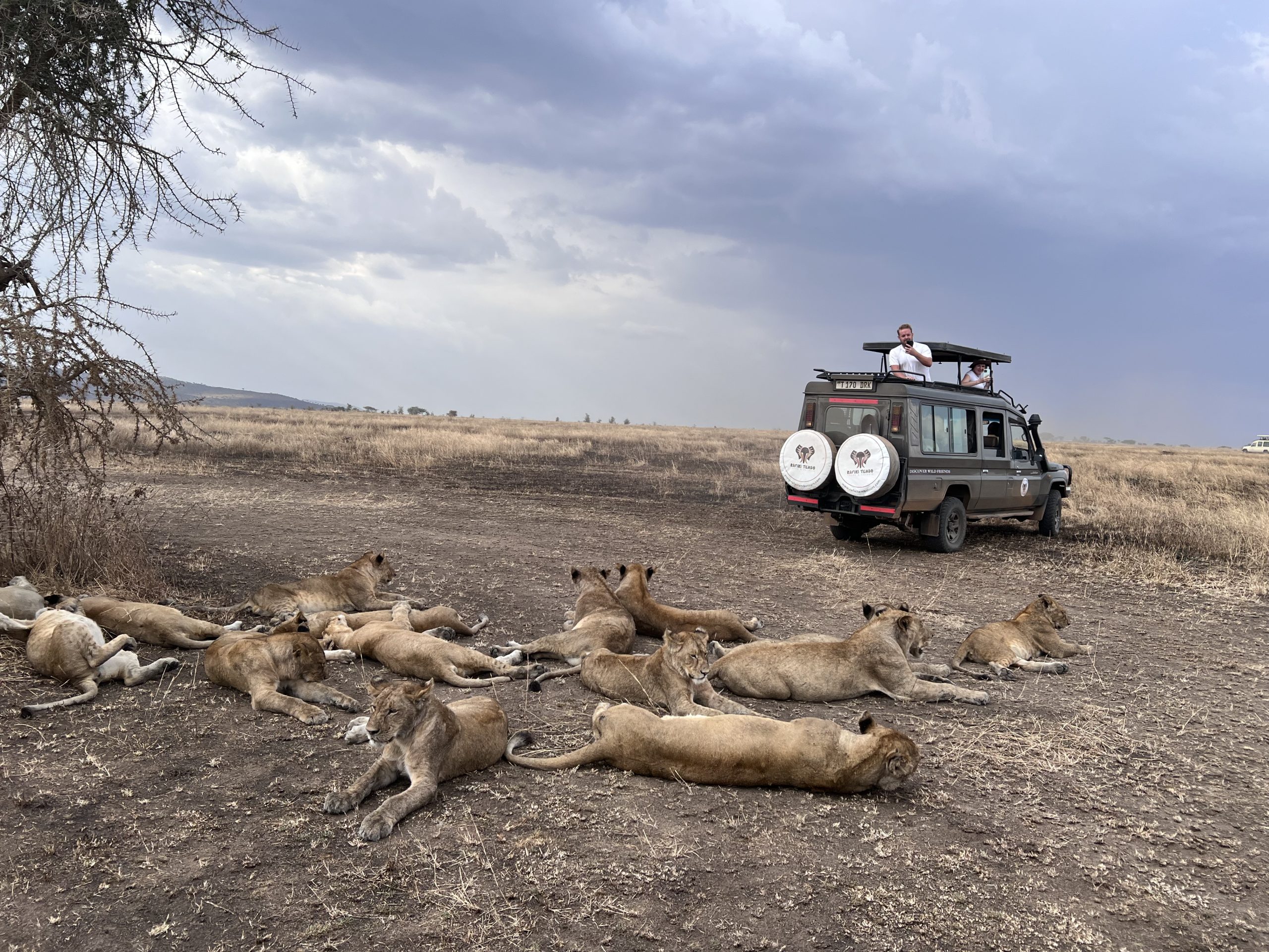 Private Tanzania safari journey with Rafiki Tembo