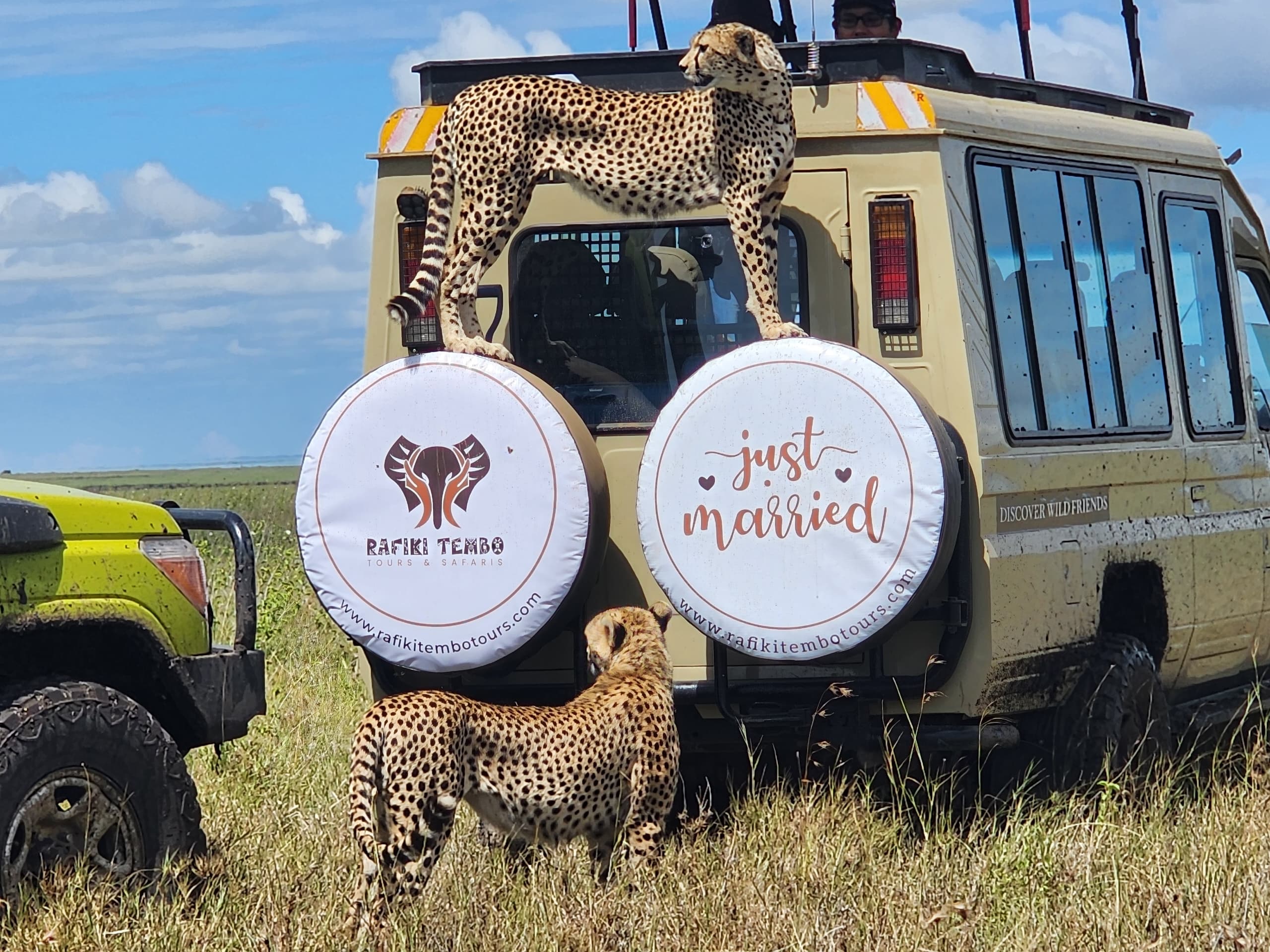 Serengeti plains Tanzania safari