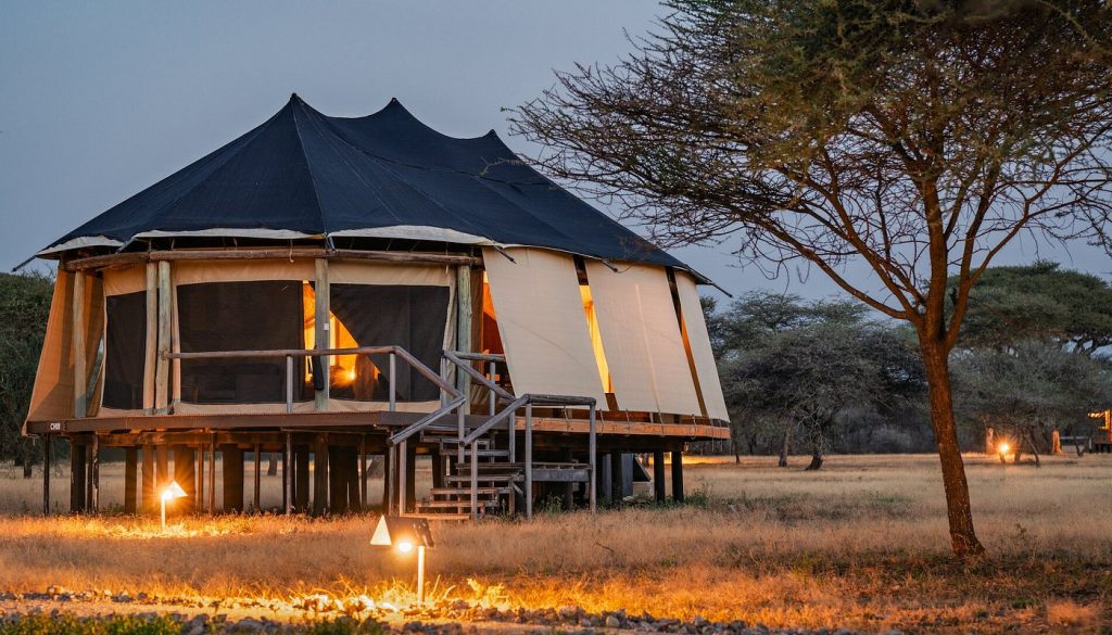 Tanzania Midrange vs Luxury Safari: What’s the Difference?