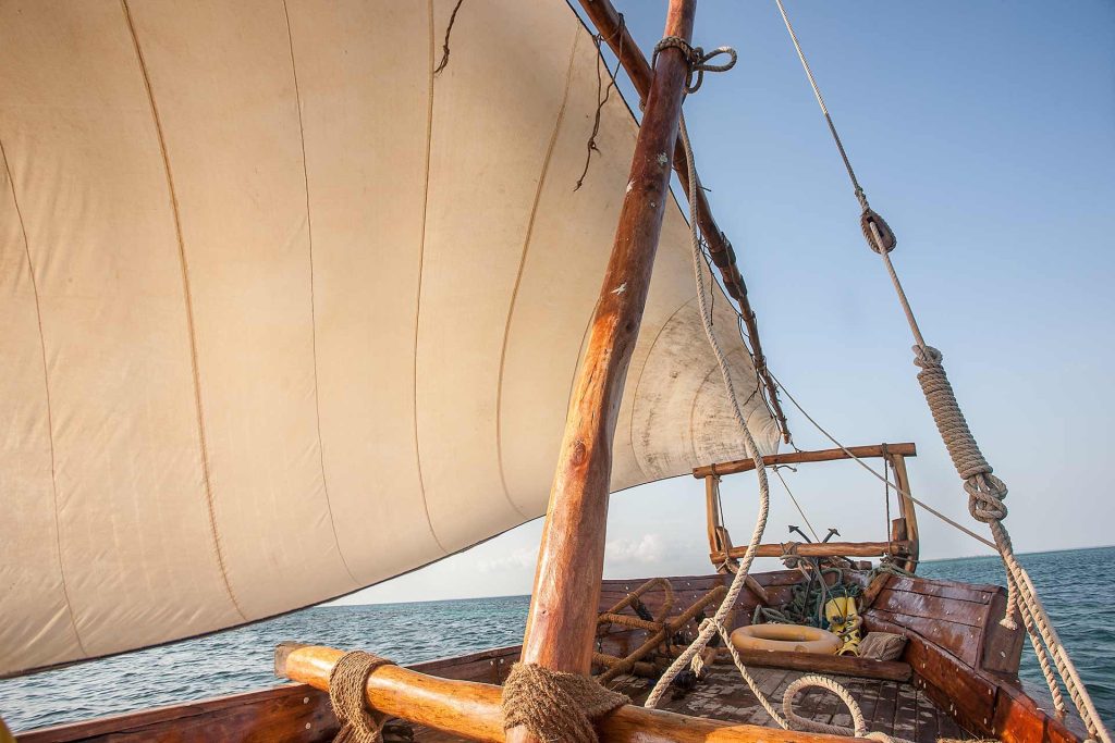Safari Blue Zanzibar: What to Expect & How to Plan Your Day